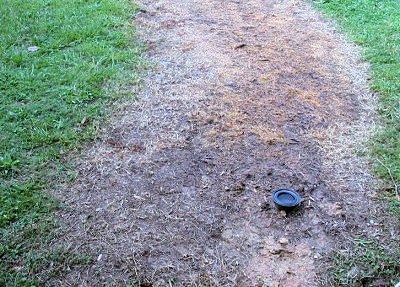 Surface overflow leak from old underground oil tank. Surface overflow leak from old underground oil tank.